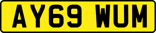 AY69WUM