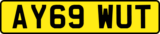 AY69WUT
