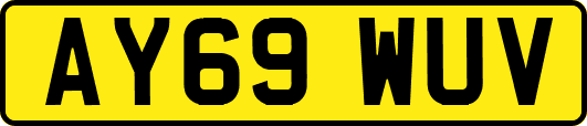 AY69WUV