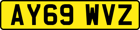 AY69WVZ