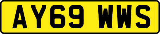 AY69WWS