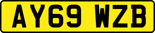 AY69WZB