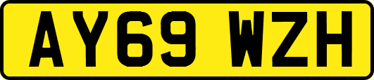 AY69WZH