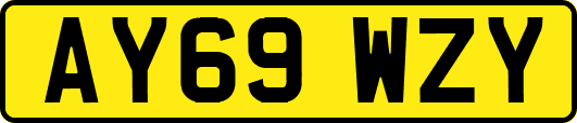 AY69WZY