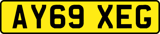 AY69XEG