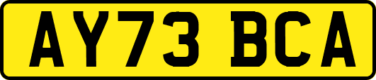 AY73BCA
