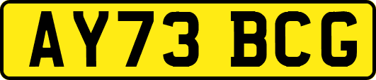 AY73BCG