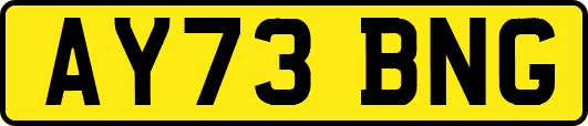 AY73BNG