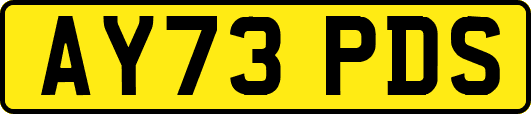 AY73PDS