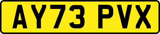 AY73PVX