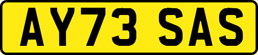 AY73SAS