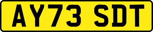 AY73SDT