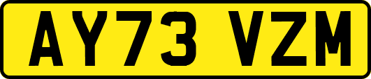 AY73VZM