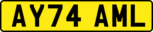 AY74AML
