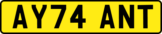 AY74ANT