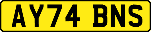 AY74BNS