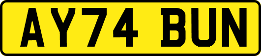 AY74BUN