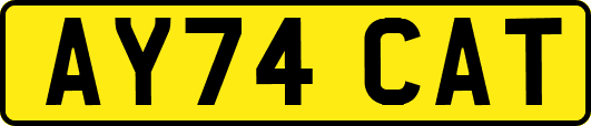 AY74CAT