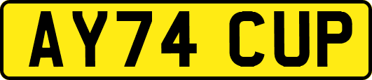 AY74CUP