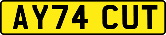 AY74CUT