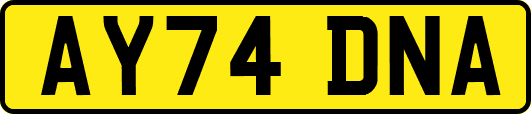 AY74DNA