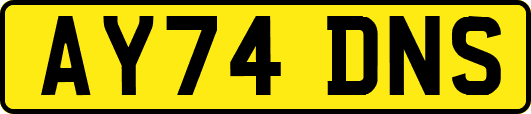 AY74DNS