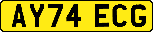 AY74ECG