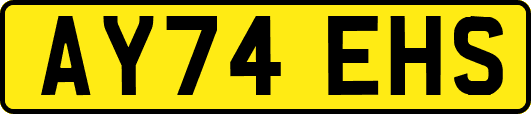 AY74EHS