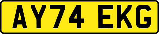 AY74EKG