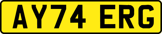 AY74ERG