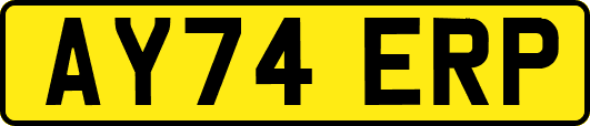 AY74ERP
