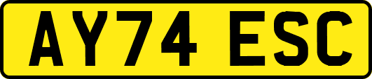 AY74ESC