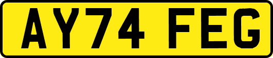 AY74FEG
