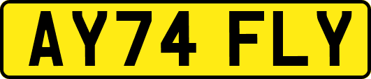 AY74FLY