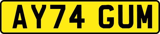 AY74GUM