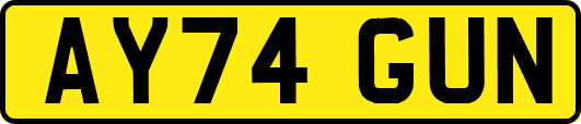 AY74GUN