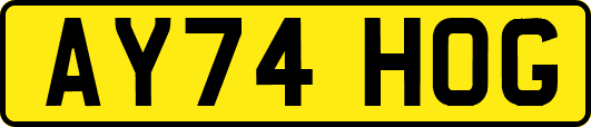 AY74HOG