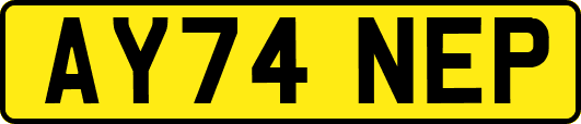 AY74NEP