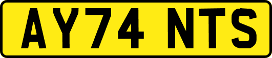 AY74NTS