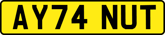 AY74NUT