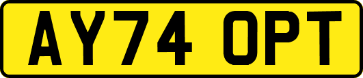 AY74OPT