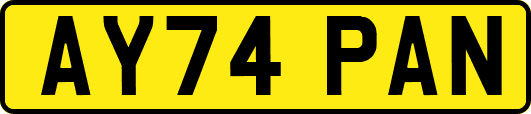 AY74PAN
