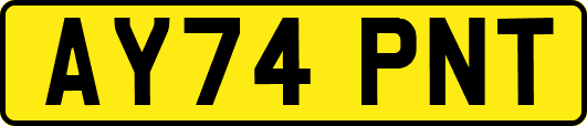 AY74PNT