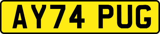 AY74PUG