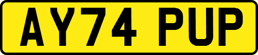 AY74PUP