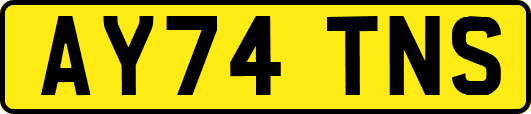 AY74TNS