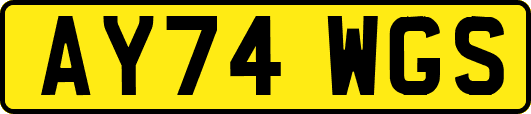AY74WGS