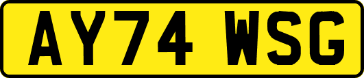 AY74WSG