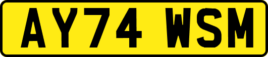 AY74WSM