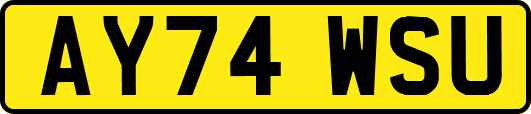 AY74WSU